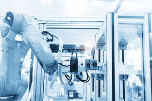 5G賦能紅糖制造業 傳統產業在新時代的智慧蝶變